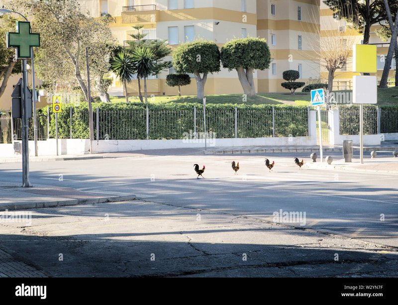 Spain - juego chicken road